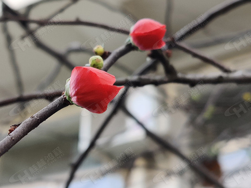 桂林鴻程花團(tuán)錦簇，滿園春色，邀您一起共賞春景，共商大計(jì)！